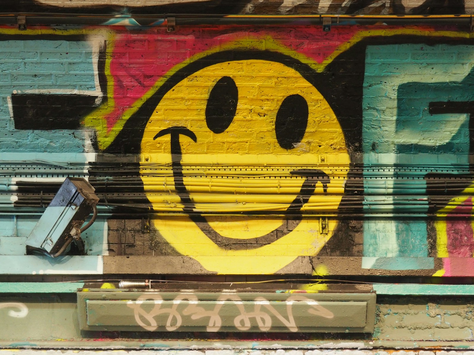 Behind the Smile: How Cults Pull People Inside
