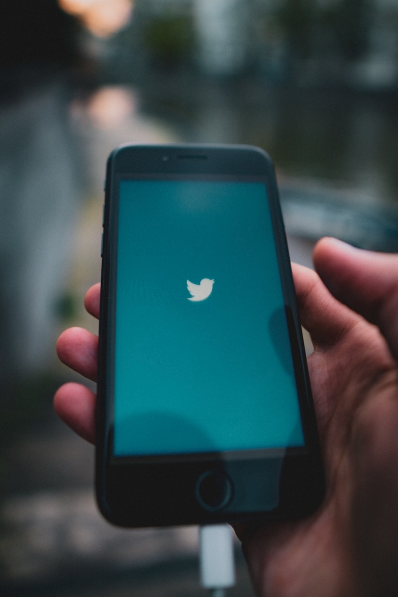 How to View Deleted Tweets: What You Need to Know
